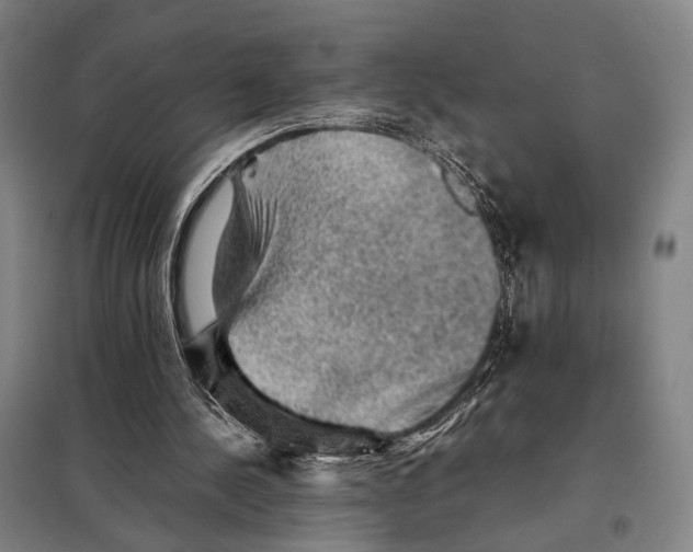 X0000097920244200804041530