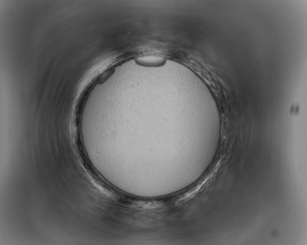 X0000097920245200804041530