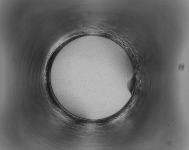 X0000097920246200804041530