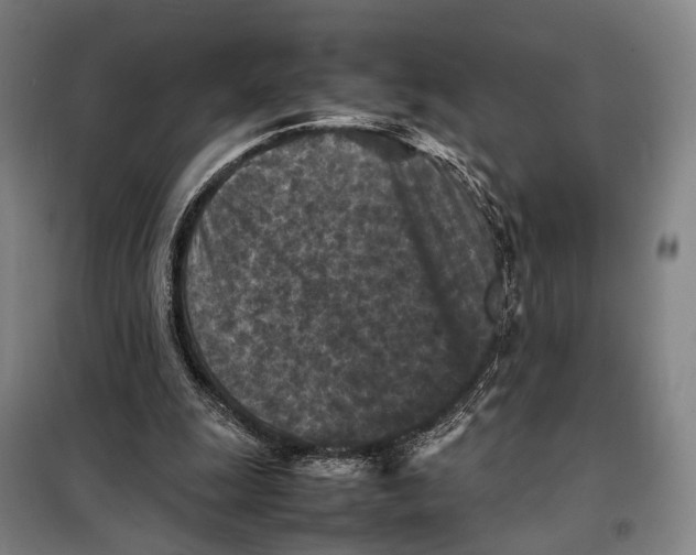 X0000097920247200804041530