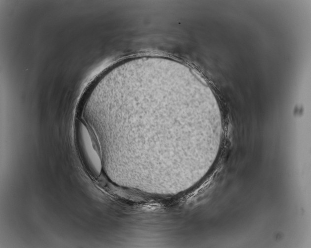 X0000097920248200804041530