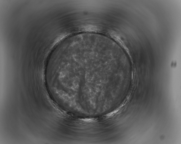 X0000097920249200804041530