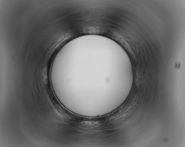 X0000097920251200804041530