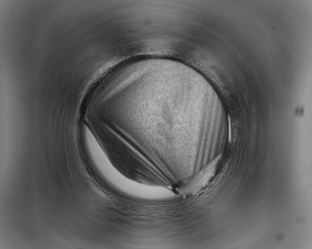 X0000097920252200804041530