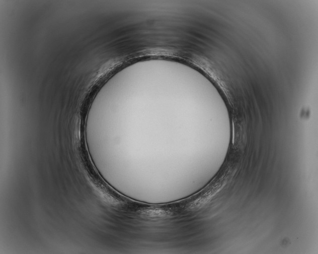 X0000097920253200804041530