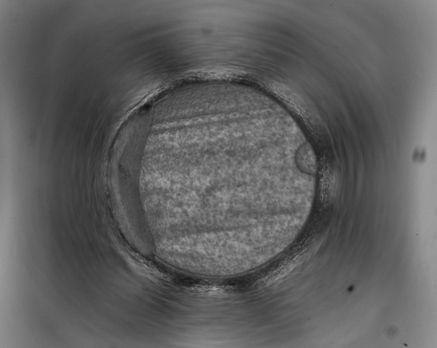 X0000097920254200804041530