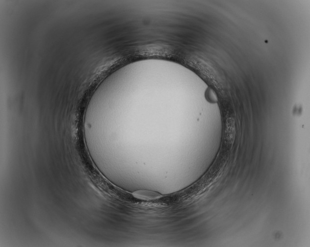 X0000097920255200804041530