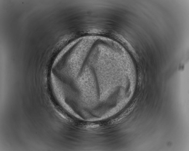 X0000097920257200804041530