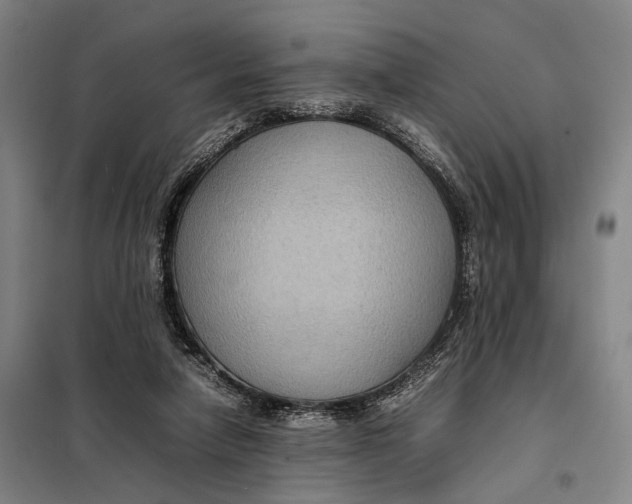 X0000097920258200804041530