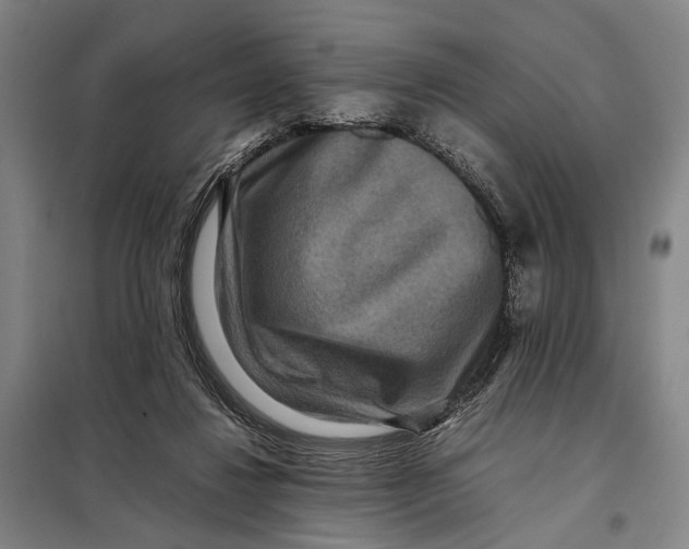 X0000097920260200804041530