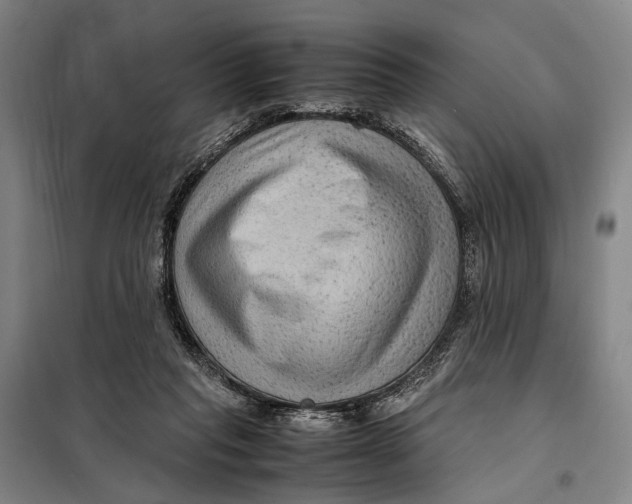 X0000097920261200804041530