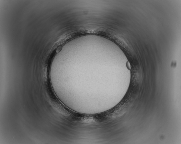 X0000097920262200804041530