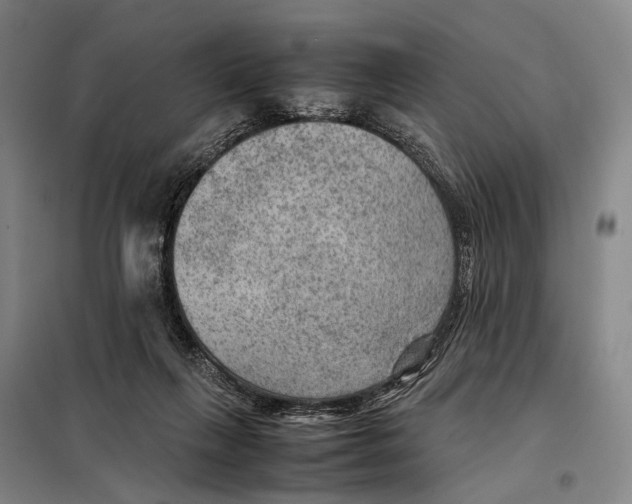 X0000097920263200804041530