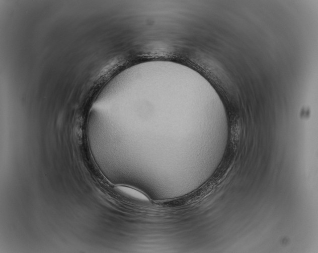 X0000097920264200804041530