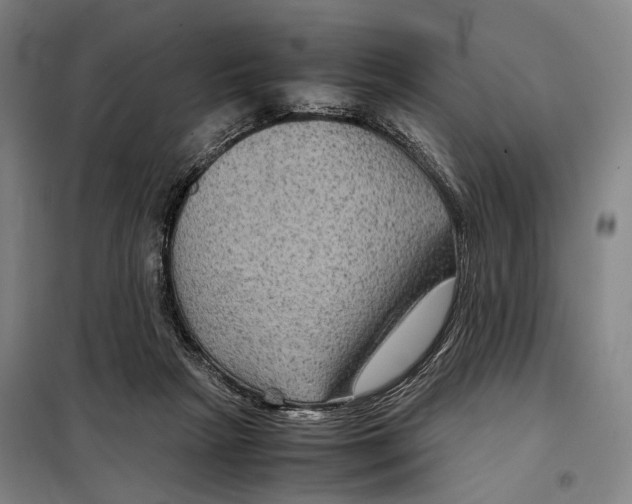 X0000097920265200804041530