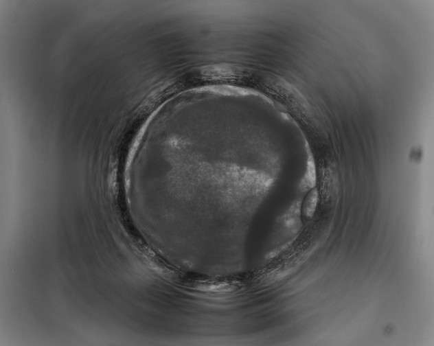 X0000097920267200804041530