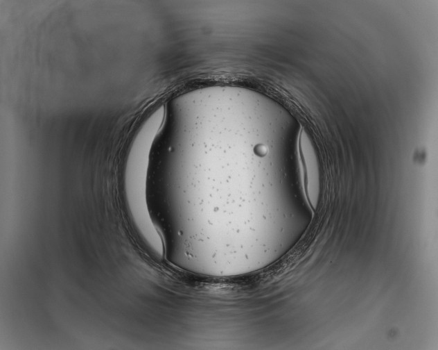 X0000097920268200804041530