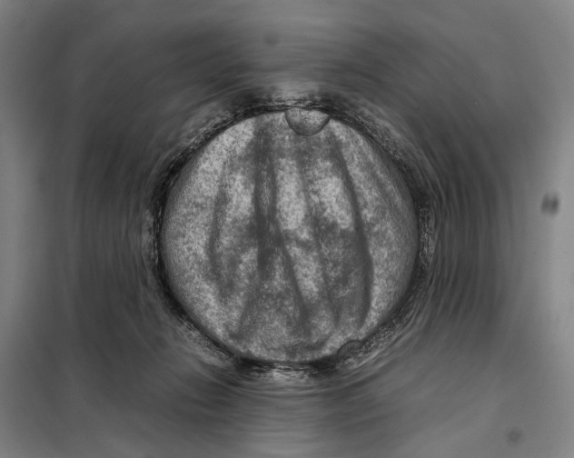 X0000097920270200804041530