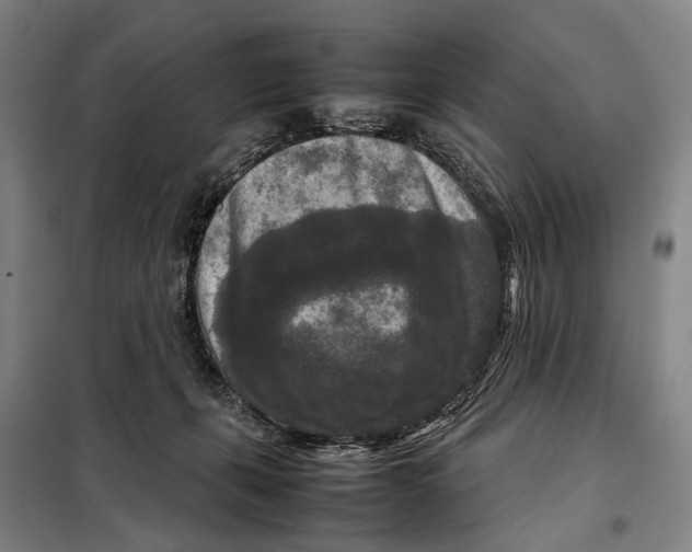 X0000097920271200804041530