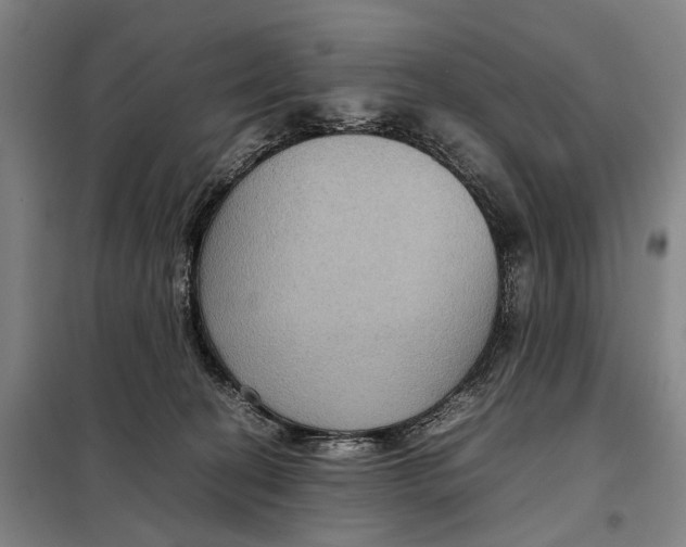 X0000097920274200804041531