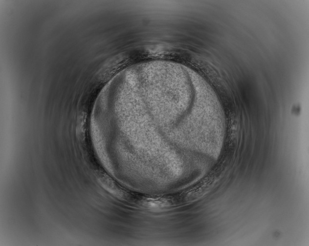 X0000097920275200804041531