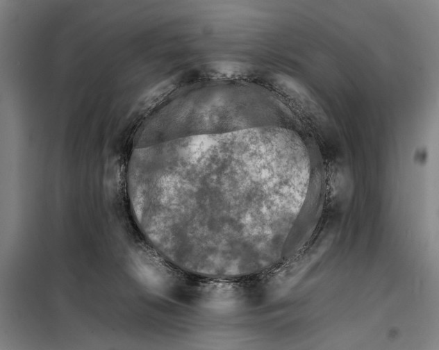 X0000097920276200804041531