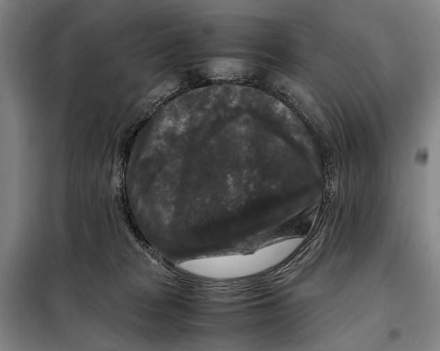 X0000097920277200804041531