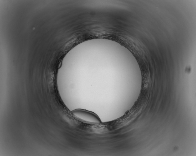 X0000097920279200804041531