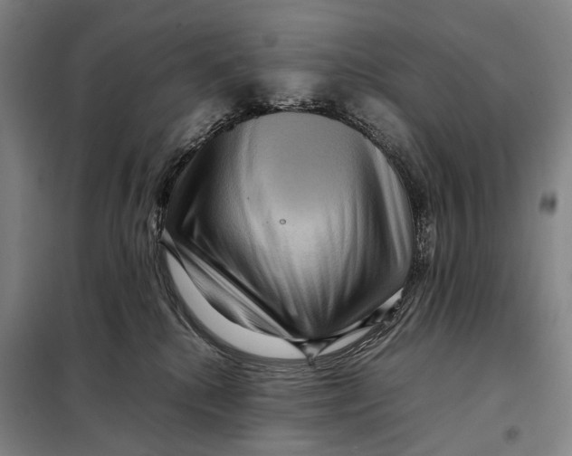 X0000097920280200804041531