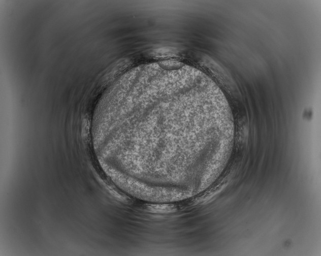 X0000097920281200804041531