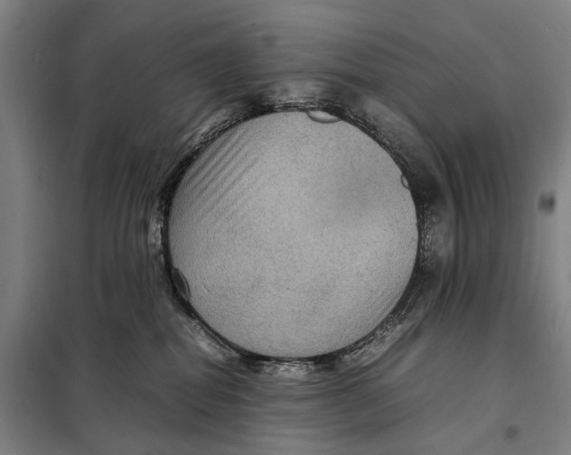 X0000097920282200804041531