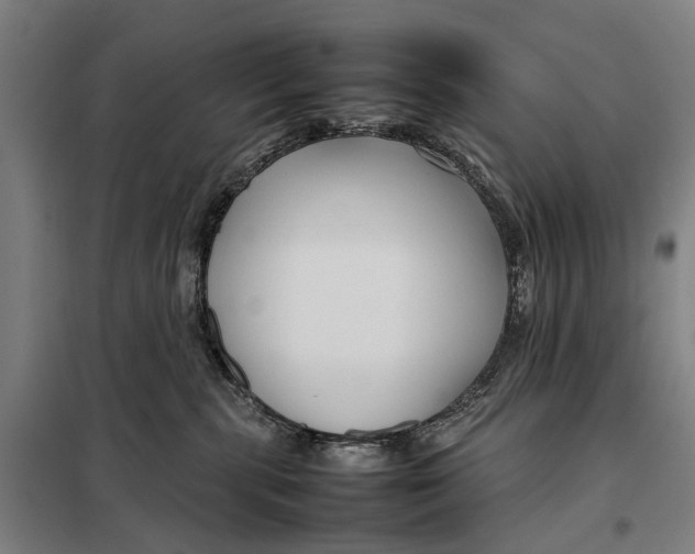 X0000097920283200804041531