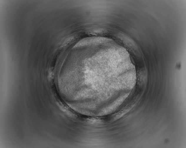 X0000097920284200804041531