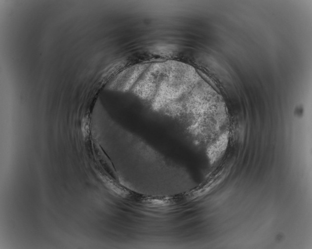 X0000097920285200804041531