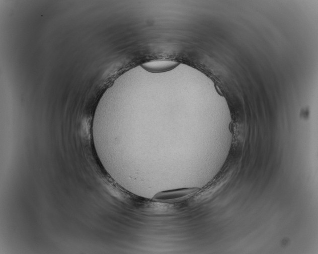 X0000097920286200804041531