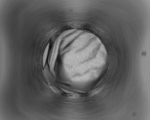 X0000097920288200804041531