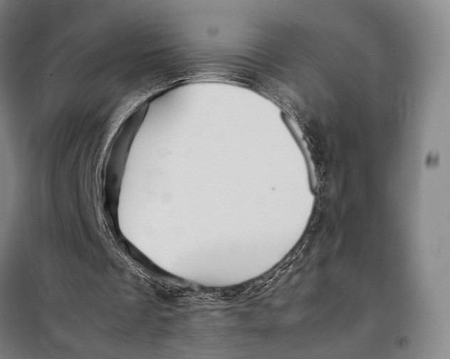 X0000097920289200804041530