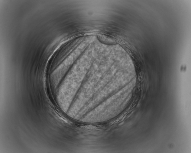 X0000097920290200804041530