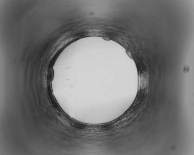 X0000097920291200804041530