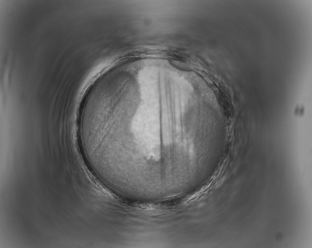 X0000097920293200804041530