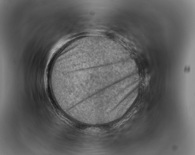 X0000097920294200804041530