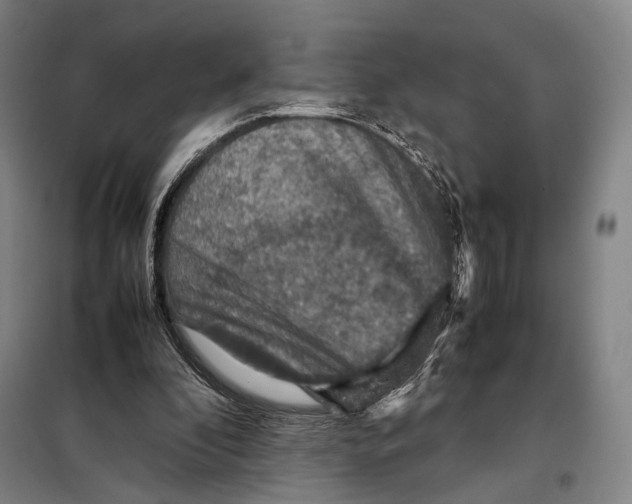 X0000097920296200804041530