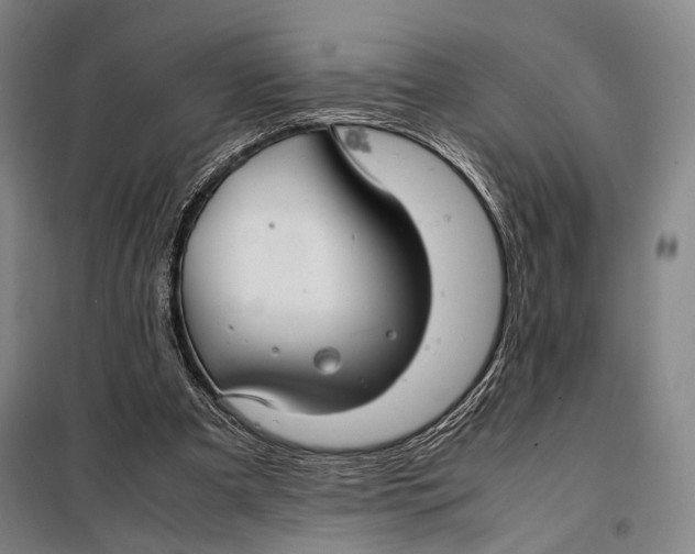 X0000097920297200804041530