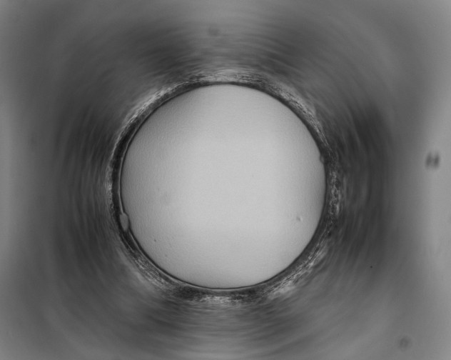 X0000097920298200804041530