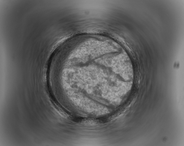 X0000097920299200804041530