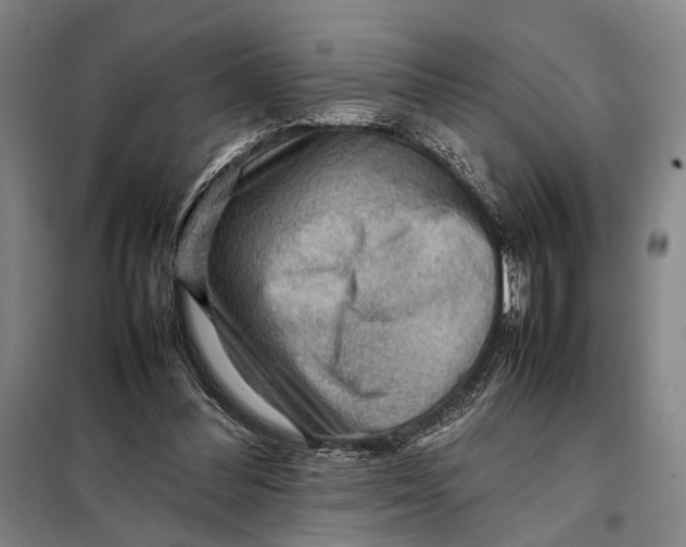 X0000097920300200804041530