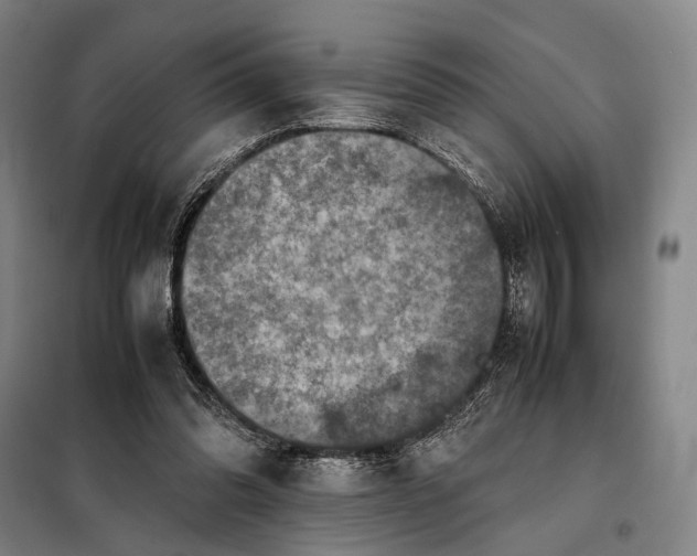 X0000097920302200804041530