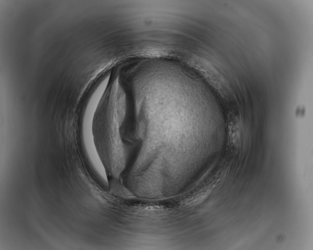 X0000097920304200804041530