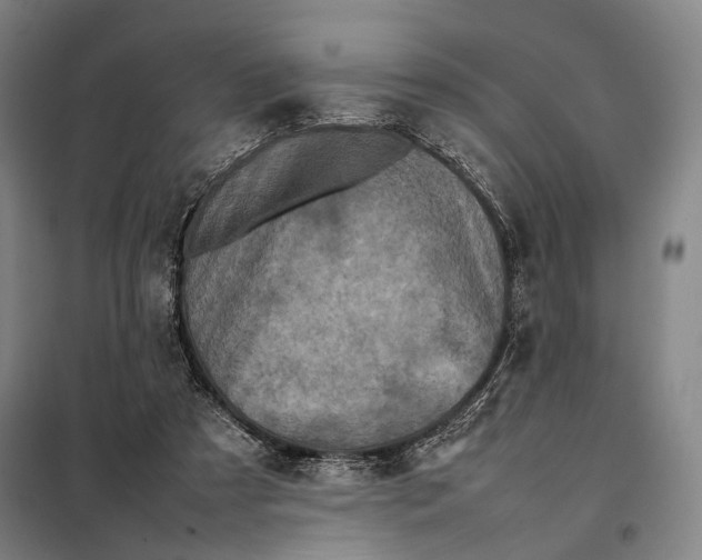 X0000097920305200804041530