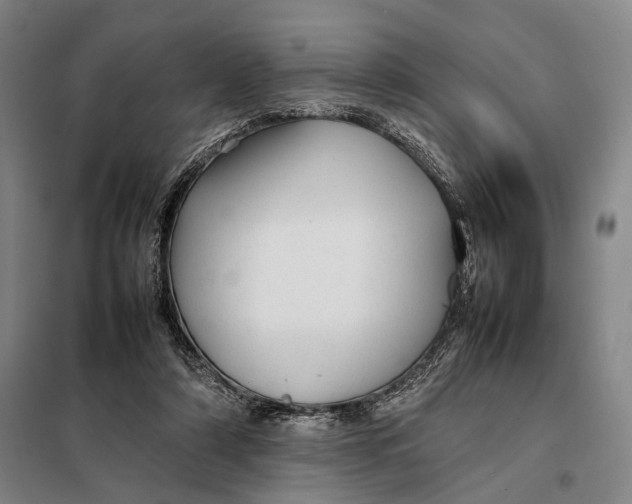 X0000097920306200804041530